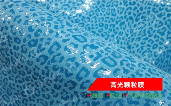 高光顆粒膜